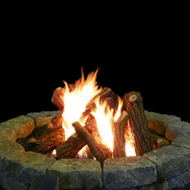 Northern Flame