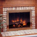 Masonry Fireplace Doors