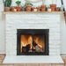 Masonry Standard Fireplace Doors