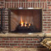 Bowed Fireplace Screens