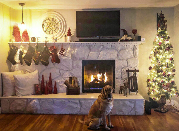 Noel Christmas Mantel & Dog