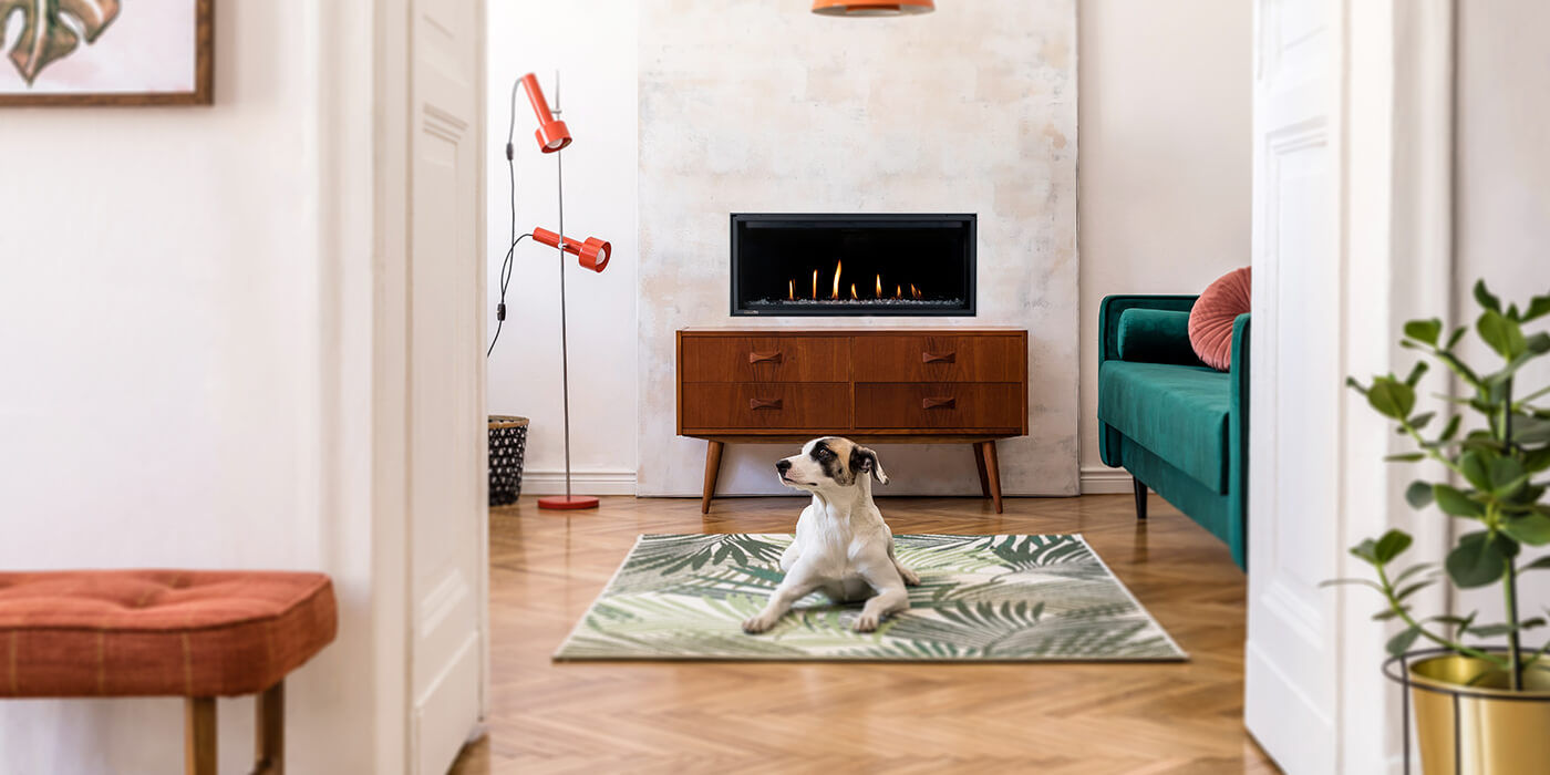 A contemporary indoor space with a small, linear gas fireplace A contemporary indoor space with a small, linear gas fireplace
