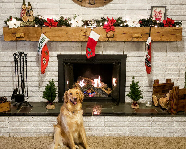 Rustic Hearth with Dog