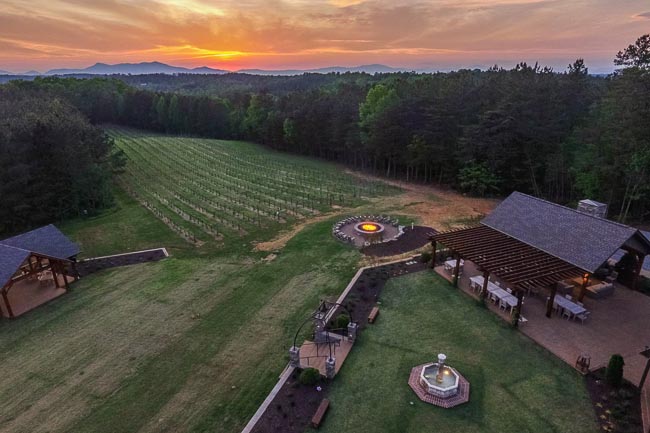 Aerial shot of a vineyard at sunset